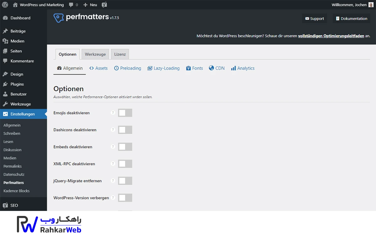 افزونه Perfmatters