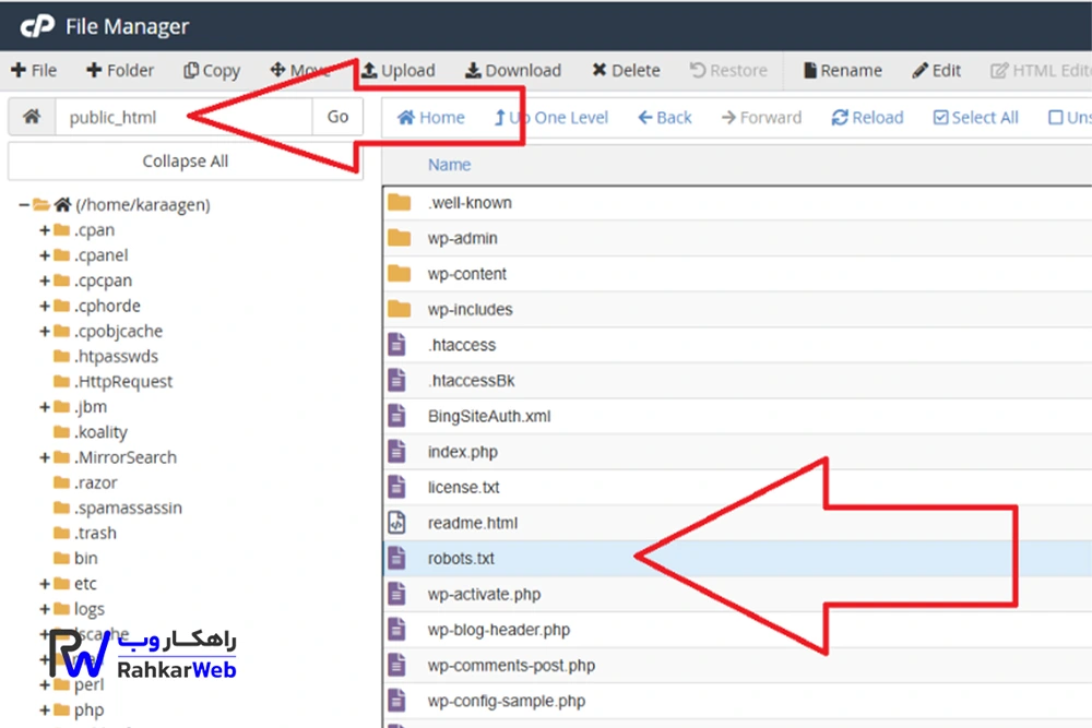 محل فایل Robots.txt در Root Directory قرار دارد